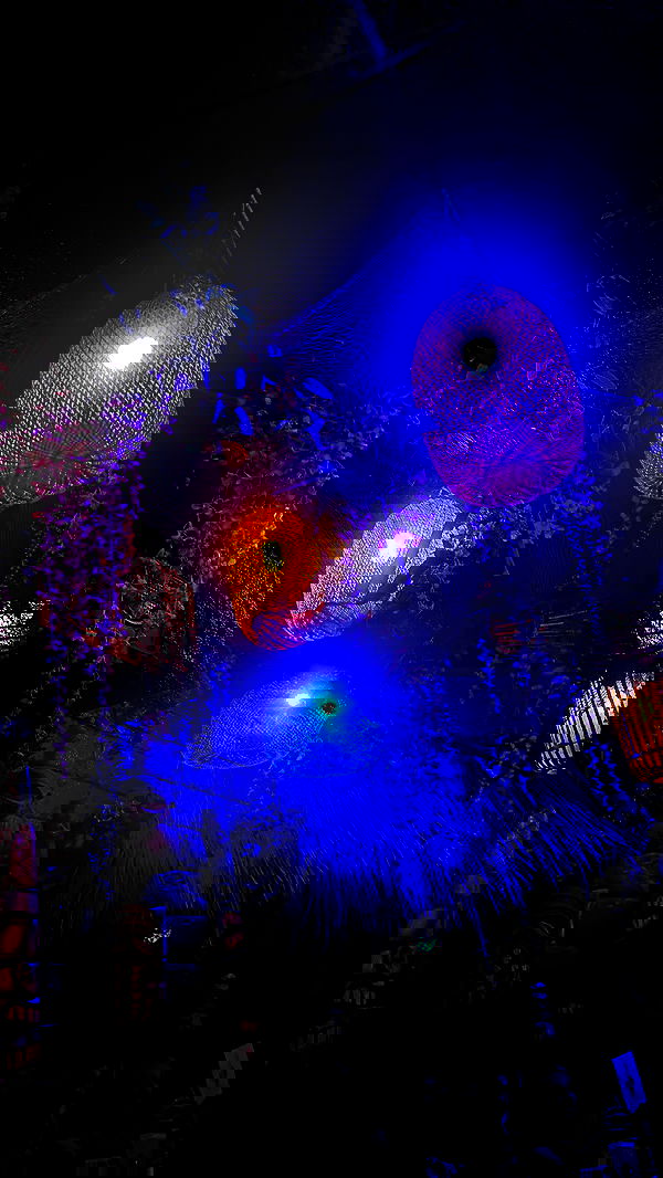 alexalizzz alexalizzz archive image