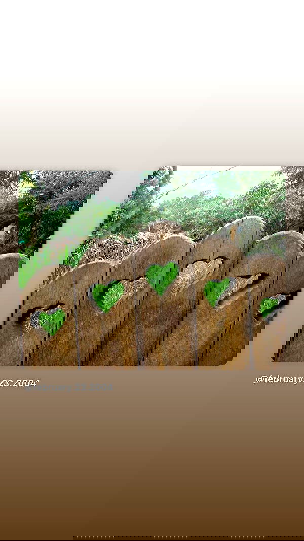 alexalizzz alexalizzz archive image