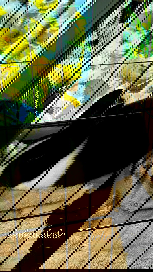 alexalizzz alexalizzz archive image