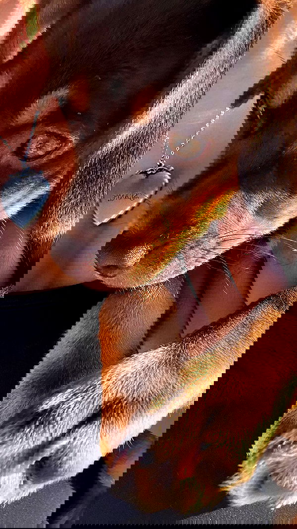 alexalizzz alexalizzz archive image