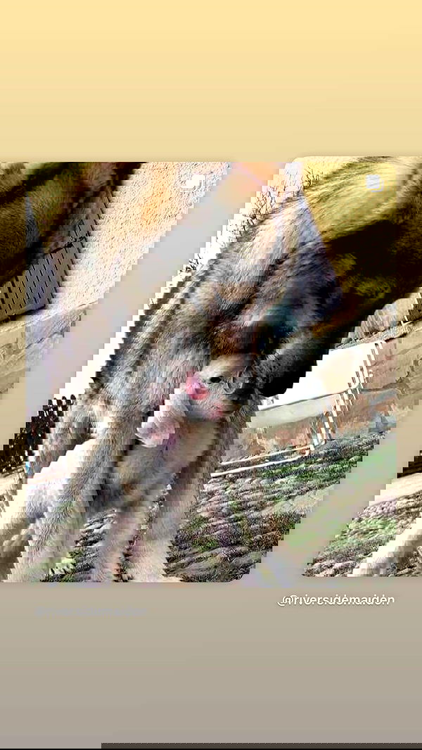 alexalizzz alexalizzz archive image