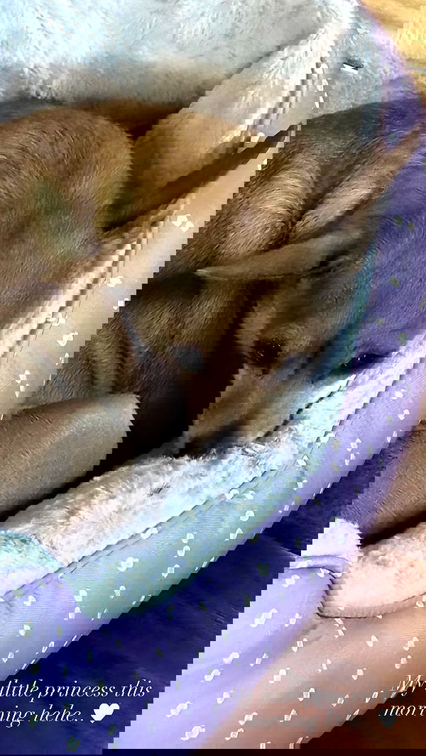 alexalizzz alexalizzz archive image