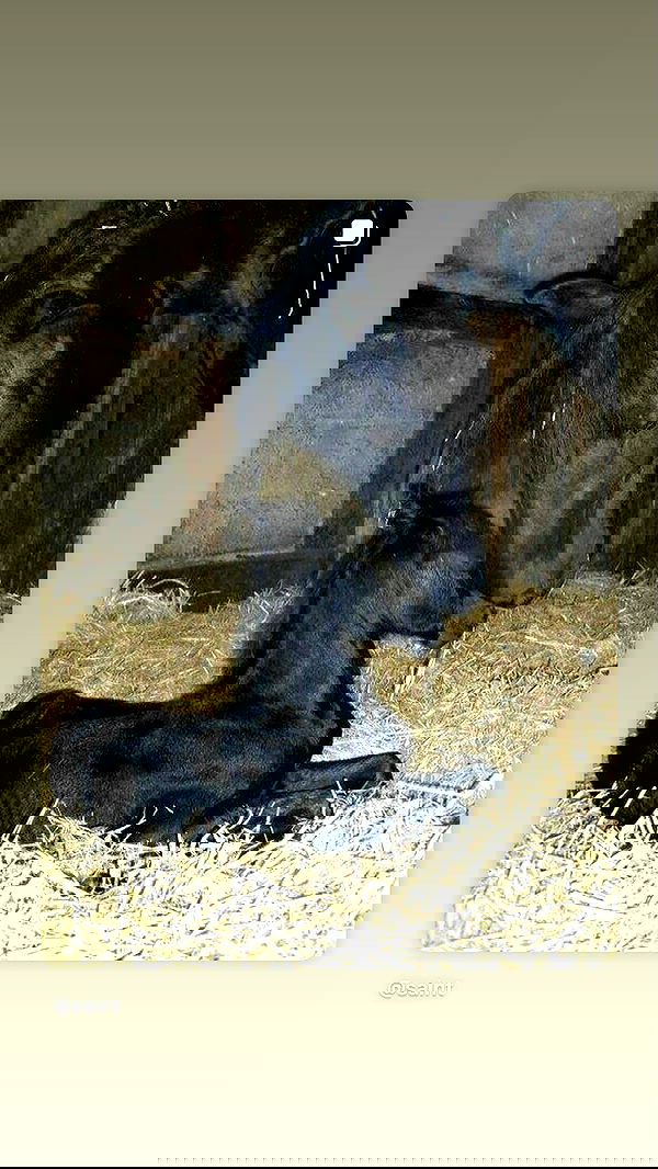 alexalizzz alexalizzz archive image