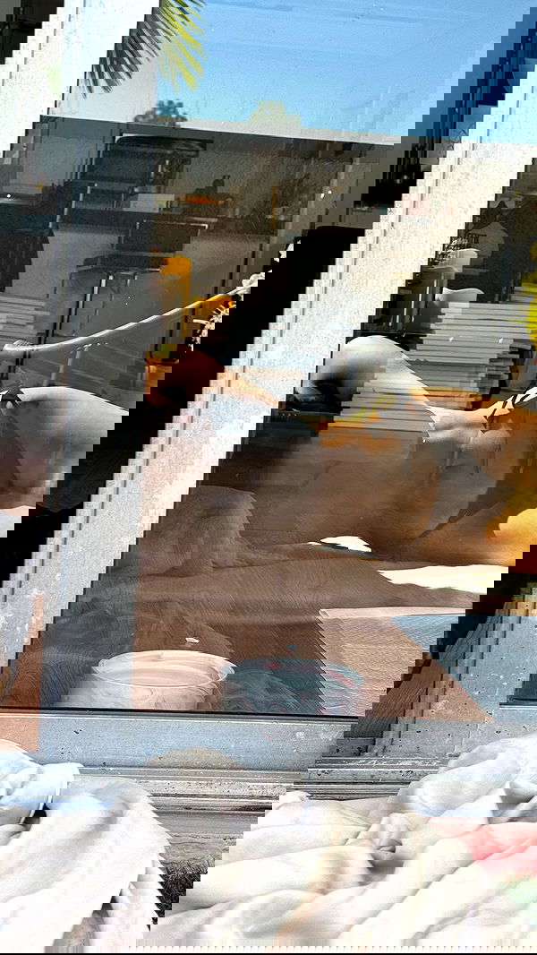 alexandramarianna alexandramarianna archive image