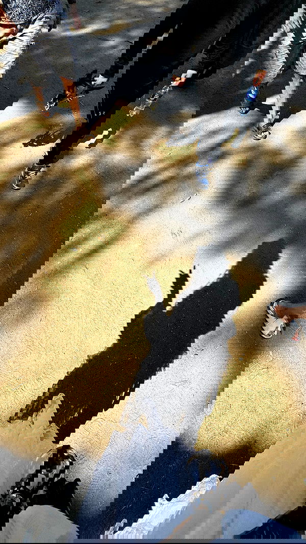 alexandramarianna alexandramarianna archive image