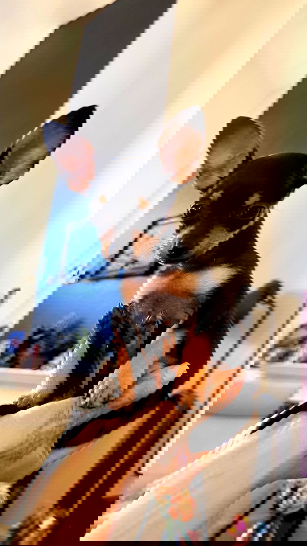 alexandramarianna alexandramarianna archive image