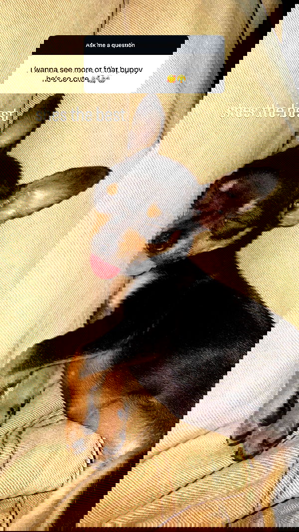 alexandramarianna alexandramarianna archive image