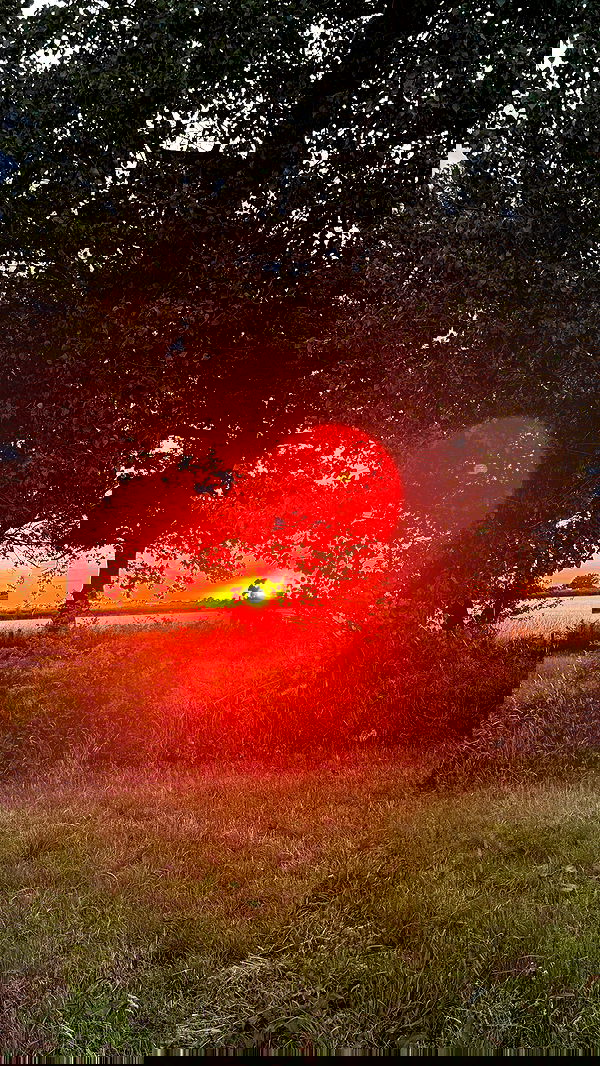 alexandramarianna alexandramarianna archive image