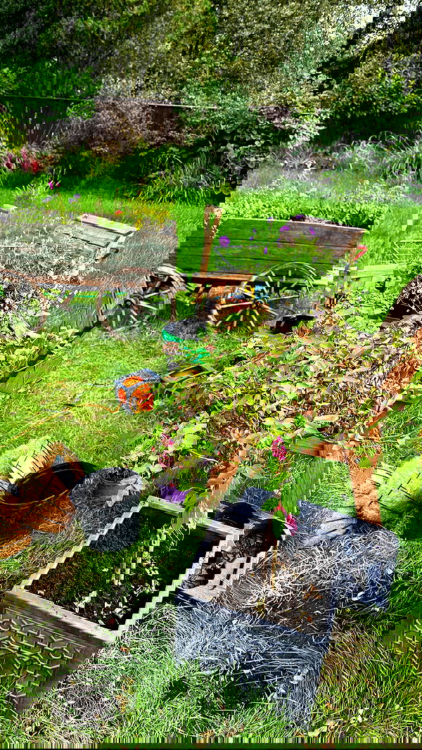 alexandramarianna alexandramarianna archive image