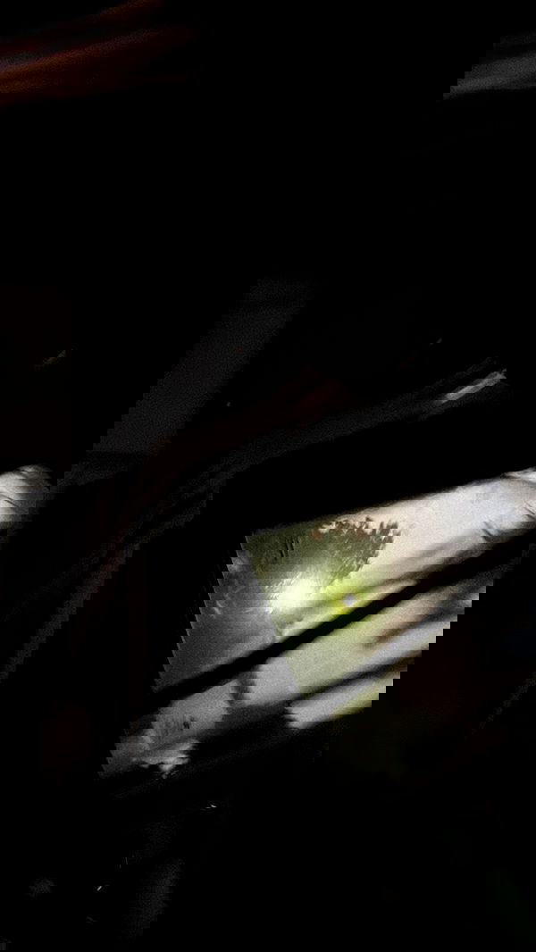 alexandramarianna alexandramarianna archive image