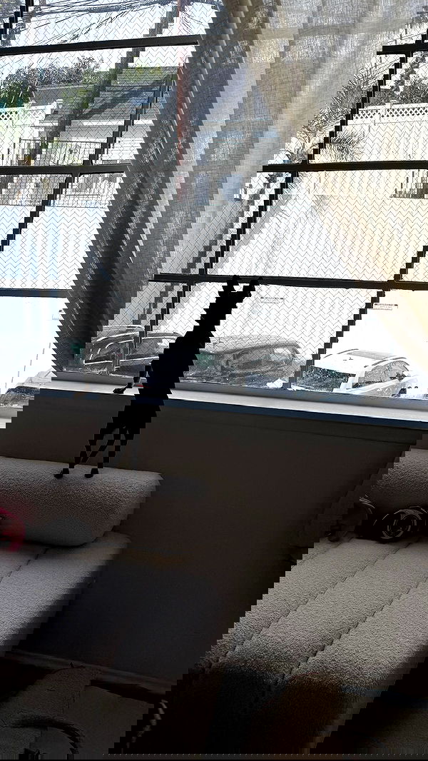 alexandramarianna alexandramarianna archive image