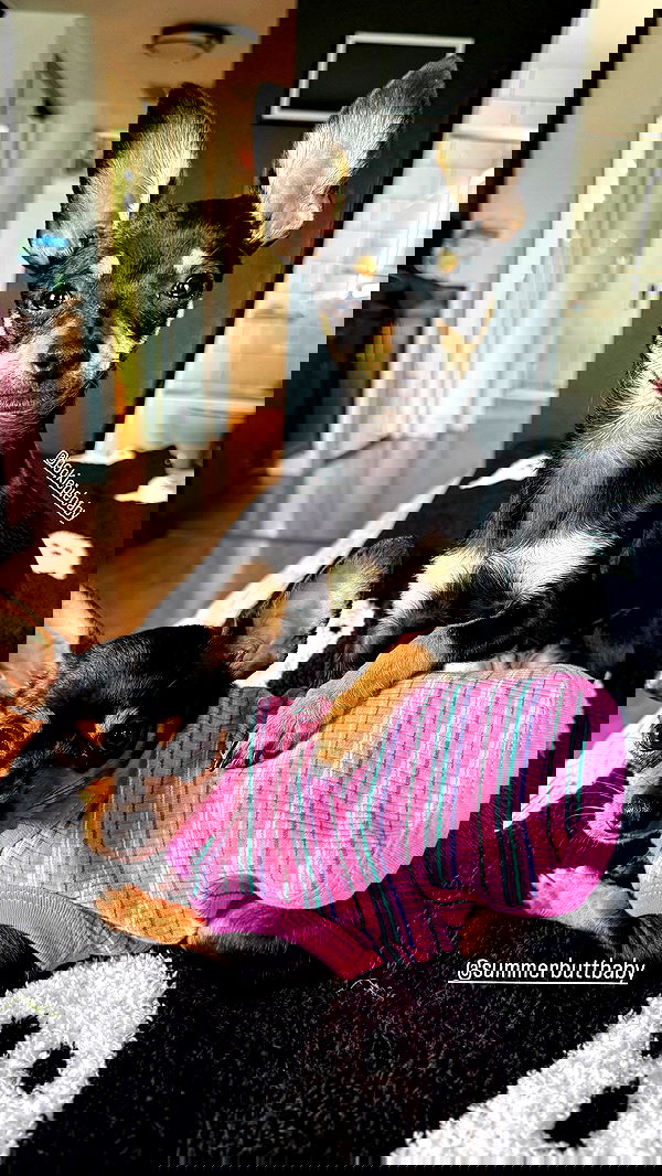 alexandramarianna alexandramarianna archive image