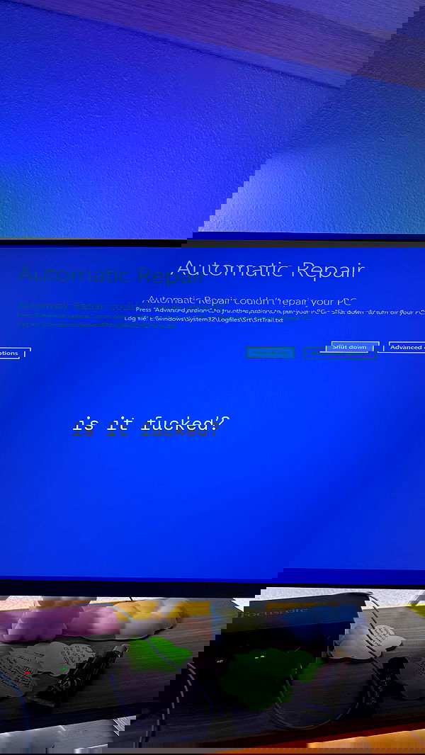 alexandramarianna alexandramarianna archive image