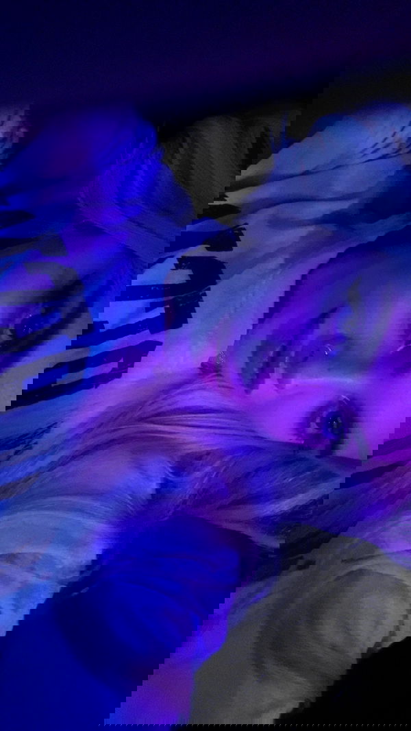 alexandramarianna alexandramarianna archive image