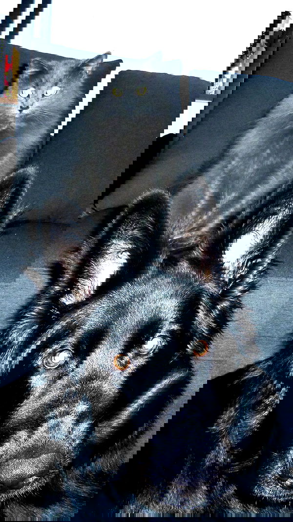 alexandramarianna alexandramarianna archive image