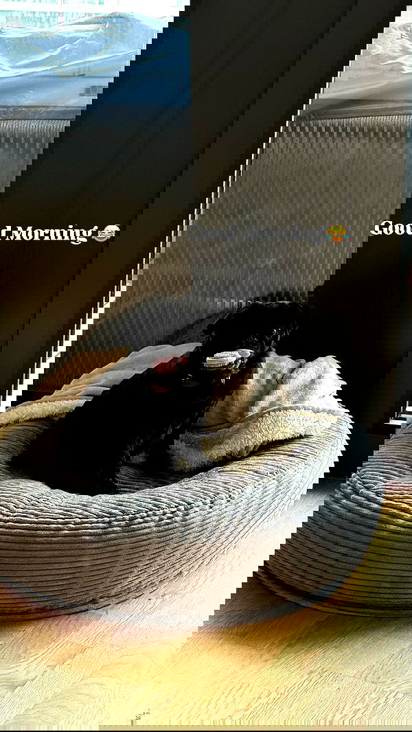 alexis.blond alexis.blond archive image