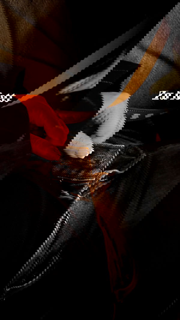 alexis.blond alexis.blond archive image