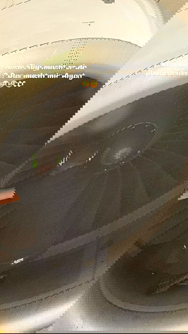 alexis.blond alexis.blond archive image