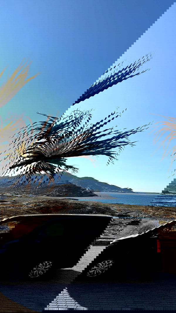 alexis.blond alexis.blond archive image