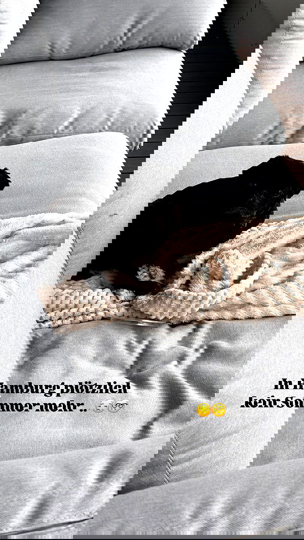 alexis.blond alexis.blond archive image