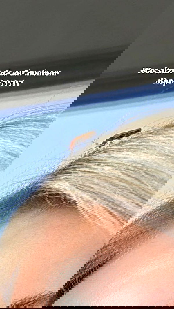 alexis.blond alexis.blond archive image