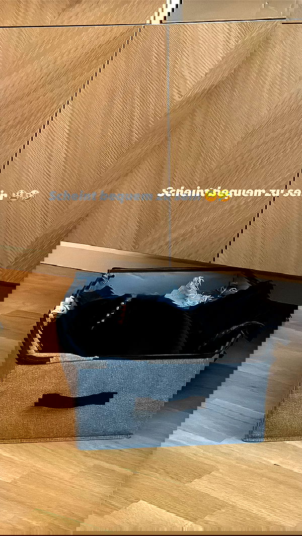 alexis.blond alexis.blond archive image