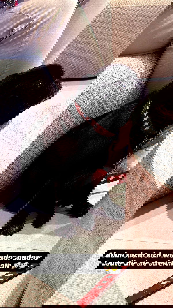 alexis.blond alexis.blond archive image