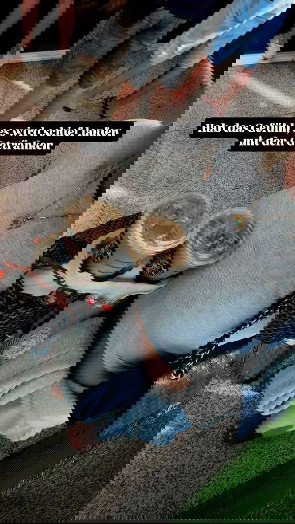 alexis.blond alexis.blond archive image