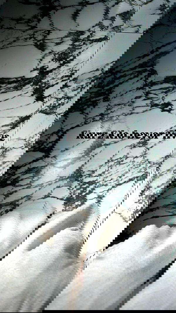 alexis.blond alexis.blond archive image