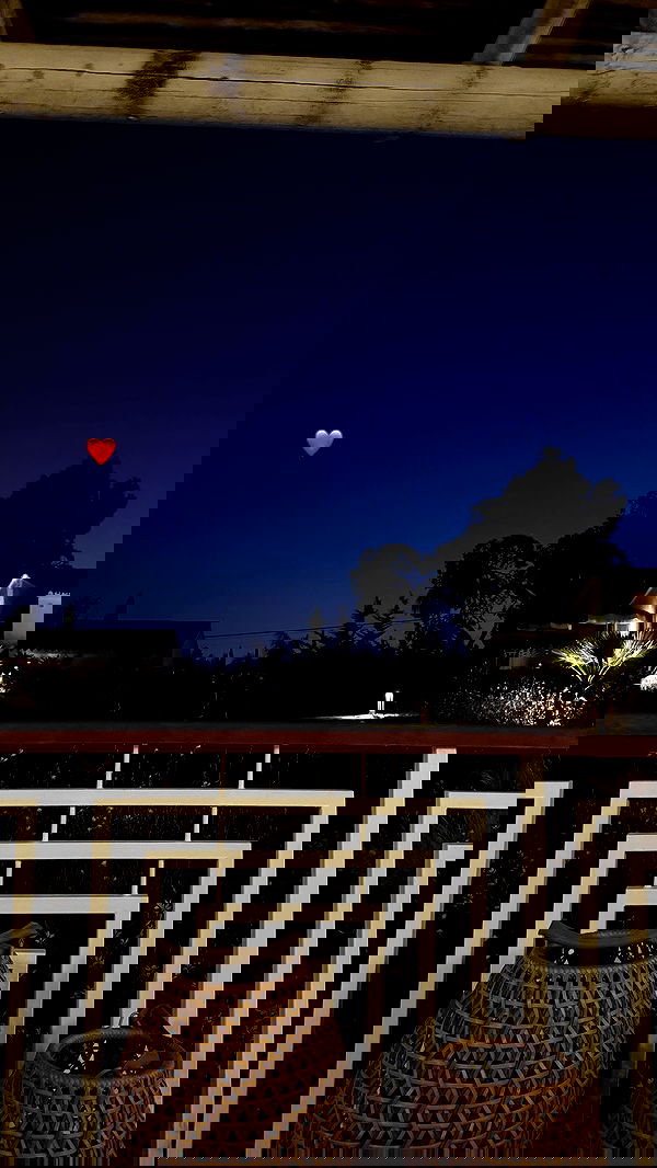 alexis.blond alexis.blond archive image