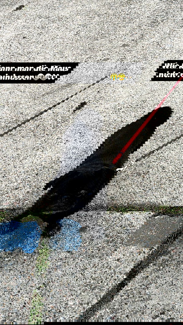 alexis.blond alexis.blond archive image