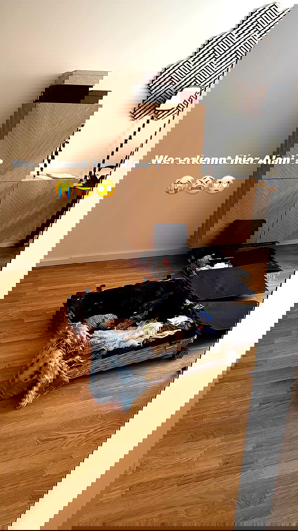 alexis.blond alexis.blond archive image