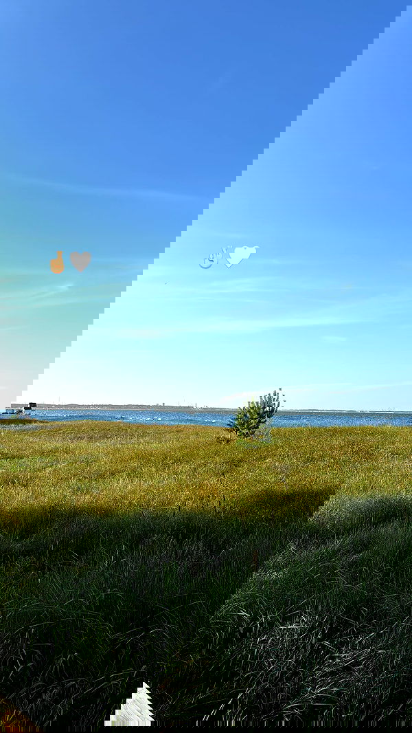 alexis.blond alexis.blond archive image