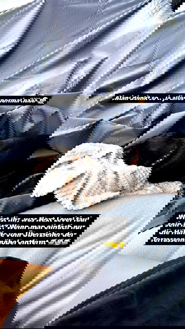 alexis.blond alexis.blond archive image