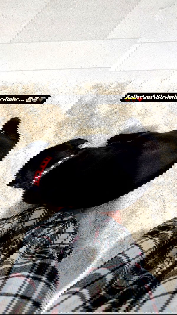 alexis.blond alexis.blond archive image