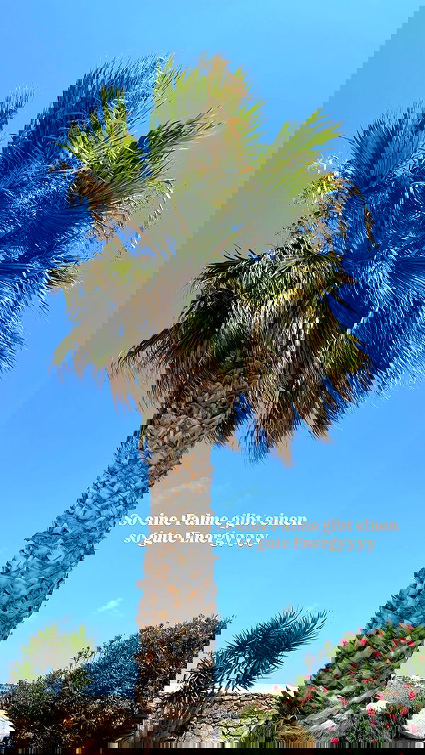 alexis.blond alexis.blond archive image