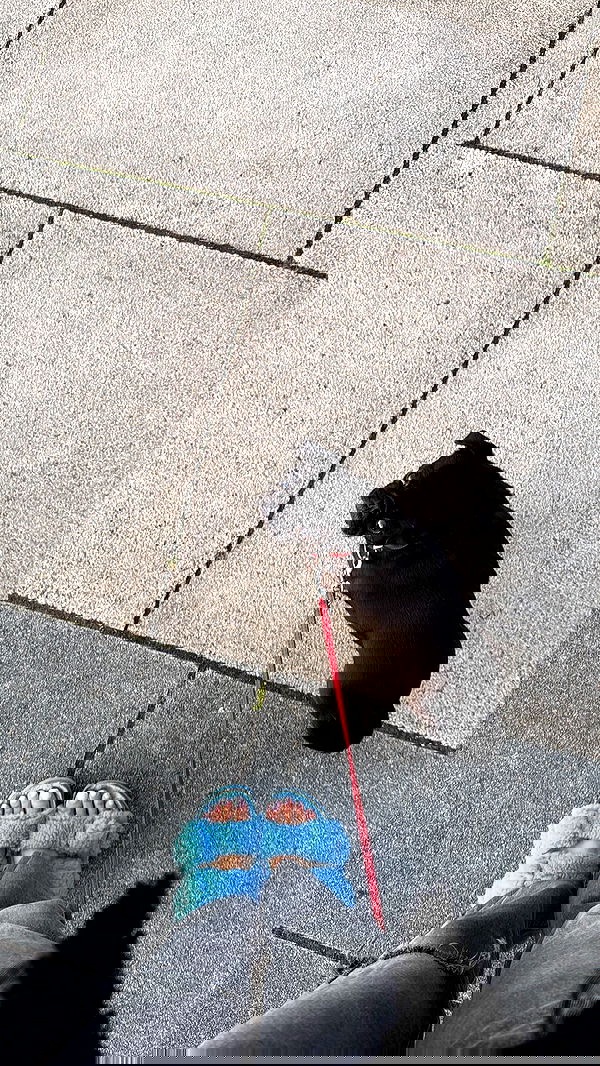 alexis.blond alexis.blond archive image