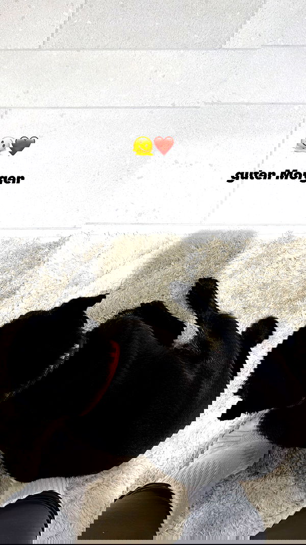 alexis.blond alexis.blond archive image