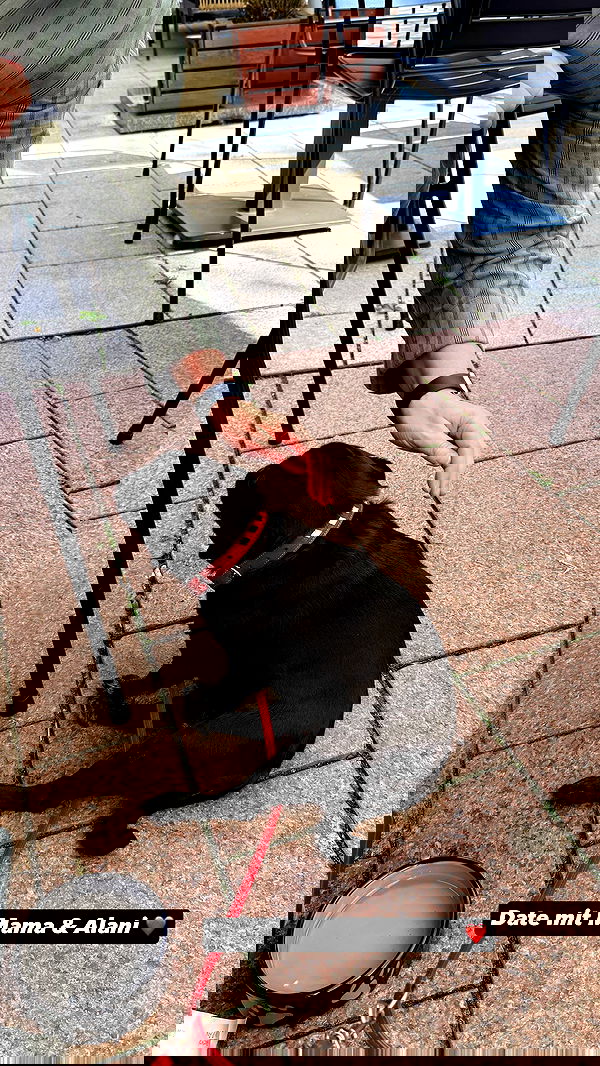 alexis.blond alexis.blond archive image