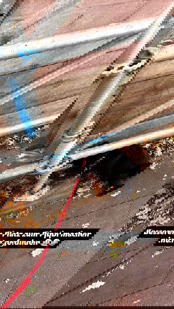 alexis.blond alexis.blond archive image