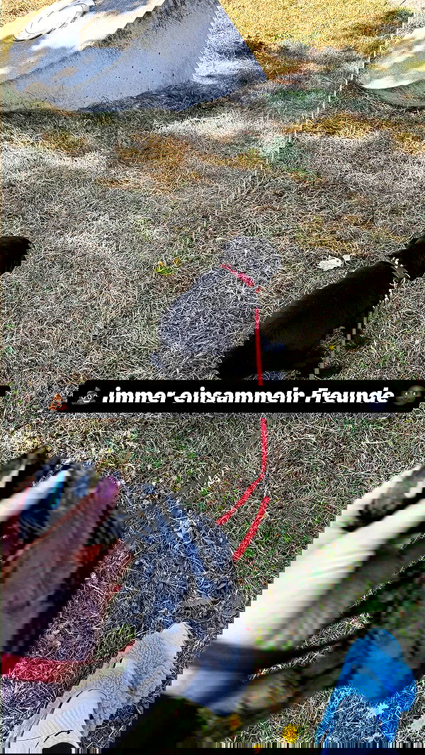 alexis.blond alexis.blond archive image