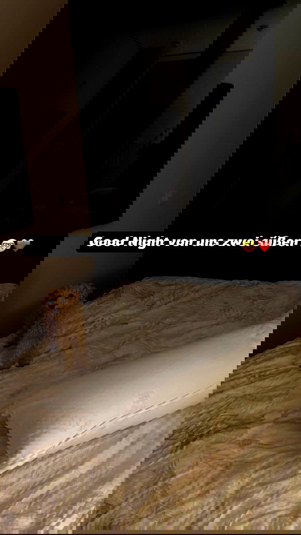 alexis.blond alexis.blond archive image