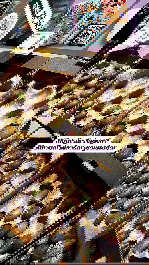 alexis.blond alexis.blond archive image