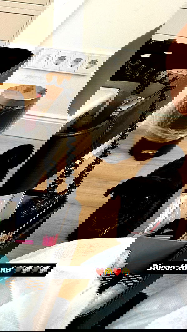 alexis.blond alexis.blond archive image