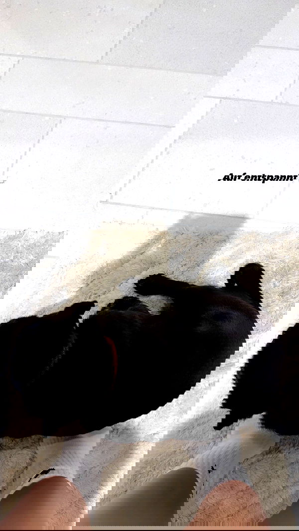 alexis.blond alexis.blond archive image