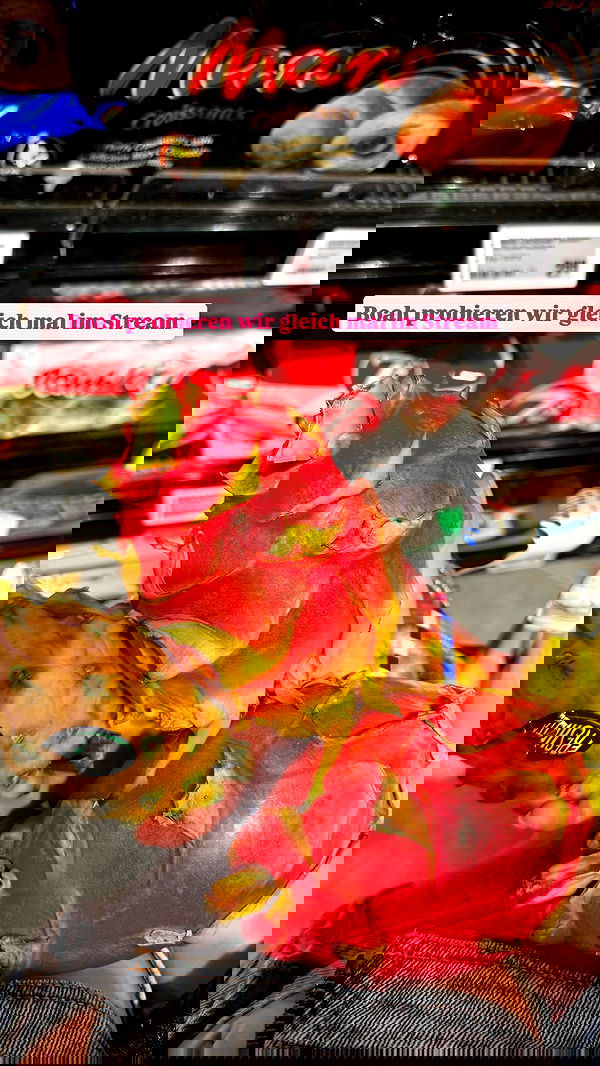 alexis.blond alexis.blond archive image