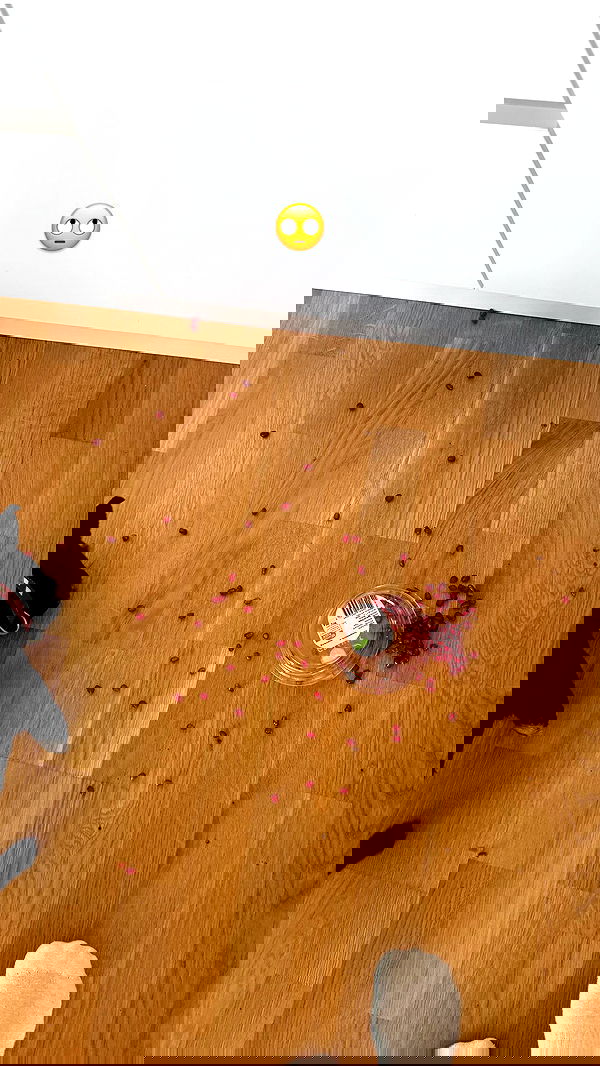 alexis.blond alexis.blond archive image