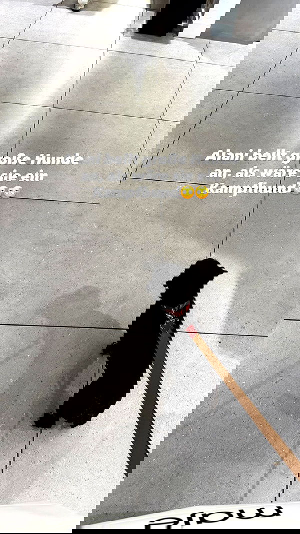 alexis.blond alexis.blond archive image