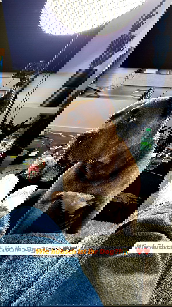 alexis.blond alexis.blond archive image