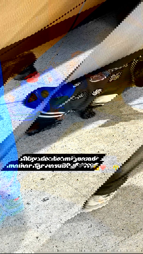 alexis.blond alexis.blond archive image